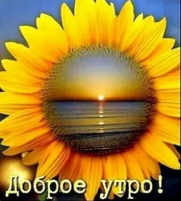 И А___ ЁбброедушрбЁ