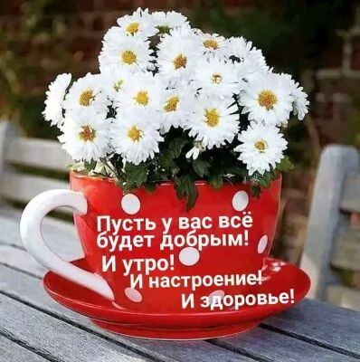 Еустьу6 увас всё удетдоб рым Иутр о настроений и 11090359
