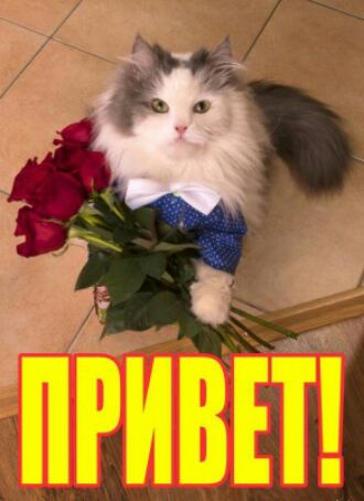 привіт