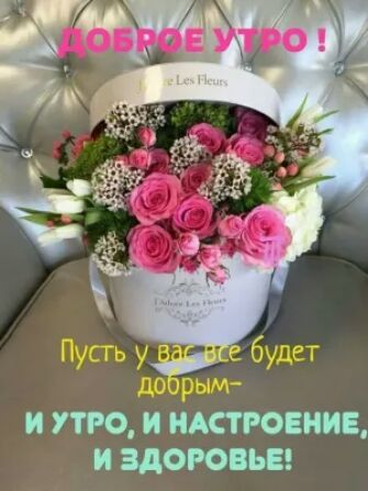И ЗДОРОВЬЕ