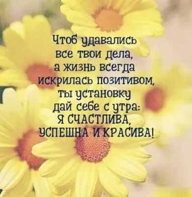 у г Чтоб удавались все твои дела жизнь всегда ипэсь позитивом Г ты чата ковку дай себе с утра СЧАСТ ВА