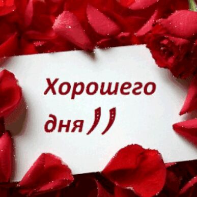 Хорошего дня