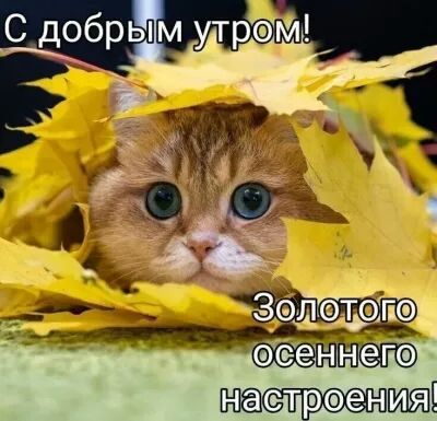 С добры настроенсгМ
