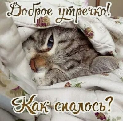 её6 Ё 4 4ЬлЫ чьем съ