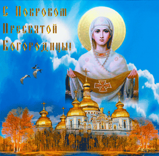 ЧЁ заезды 000