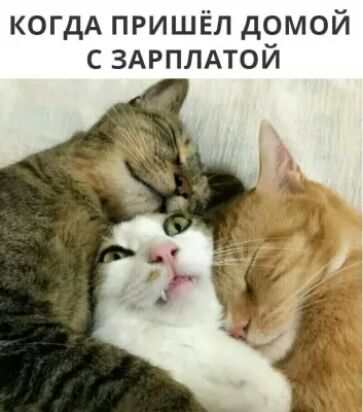 КОГДА пришёл домой с ЗАРПЛАТОЙ
