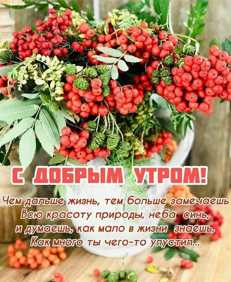 дЖеж мьэгэ ты чего то упустил хк _ 4 Ш