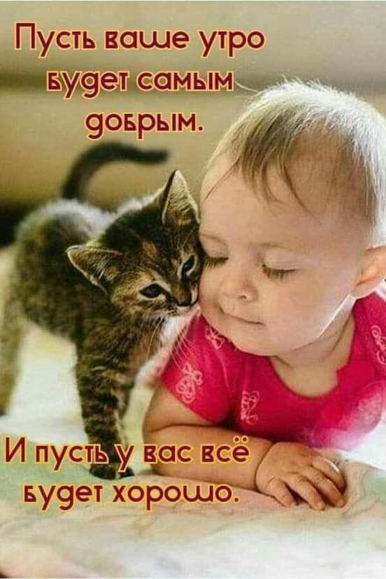 Пусть каше утро вхуетдсомым 9оврым А И пусть у вас все ву9ет хоЁошо