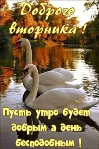 ЁЩЁЁ ути буй С аварии в день Ж штабным