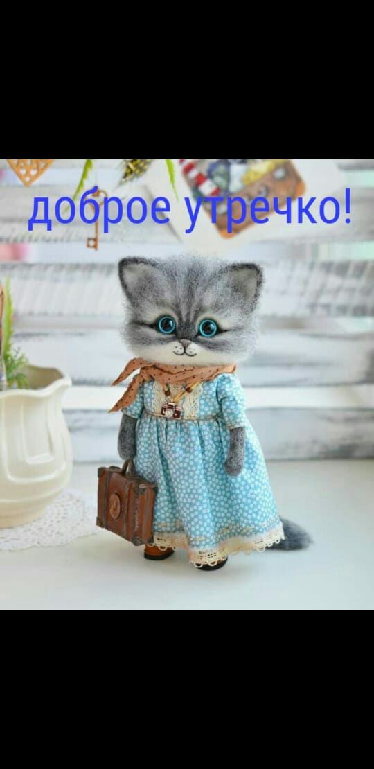 доброе течко 7