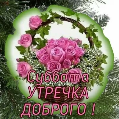 дідбтдгдго