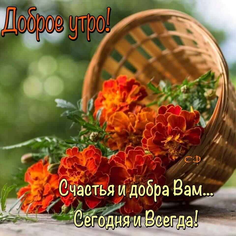 Счастья и добра Вам 9 _ И 34