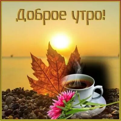 ЦпБроа щк 01
