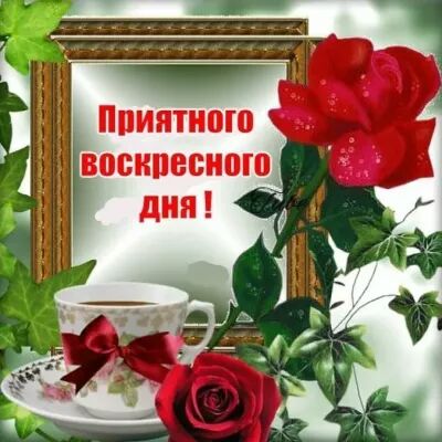 ППИЯПШЮ ВЩЖПЕЩШШ