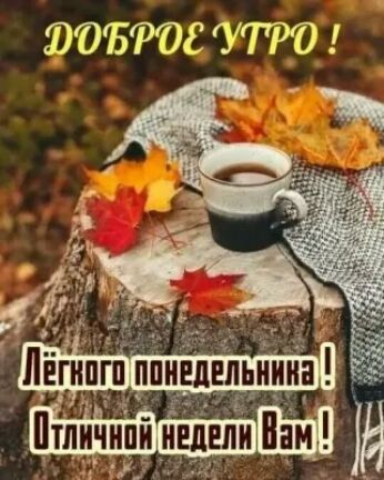 ЁЮБФОС УПО