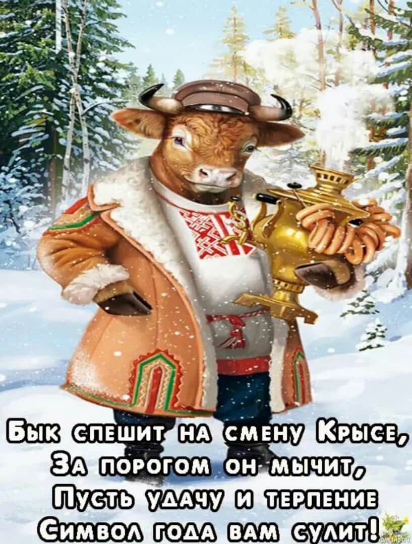 шт ж