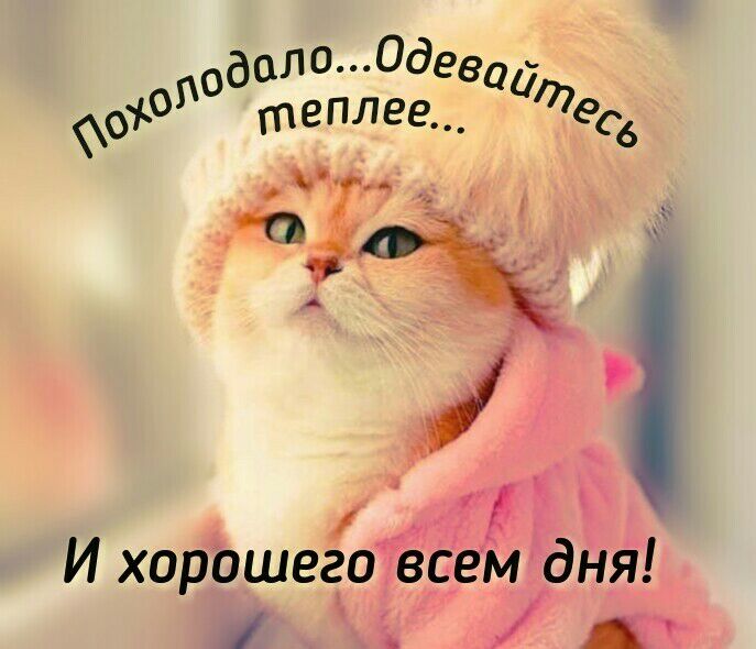 теплее итедб И хорошего всем дня 1 А