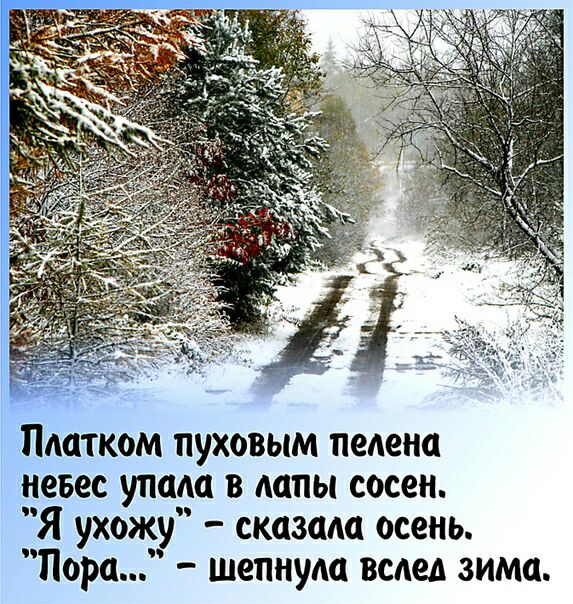 Пмтком пуховым педена невес упала в лапы сосен Я ухожу сказала осень Пора шепнуда вслед зима