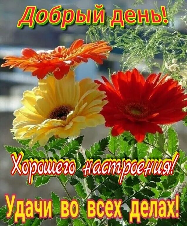 инд Раш о _ 81411157 ЗйіАі