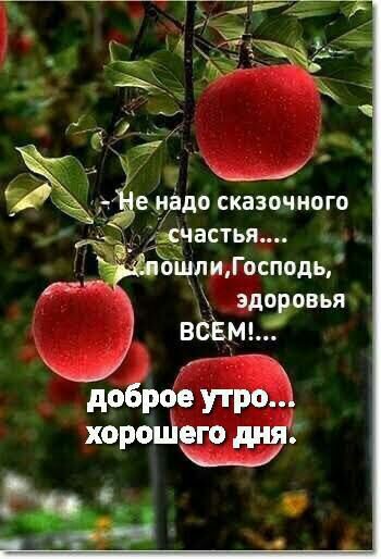 3е дуадо сказочного астья пшли Господн здп овья вёЕМ доброе утро хорошг