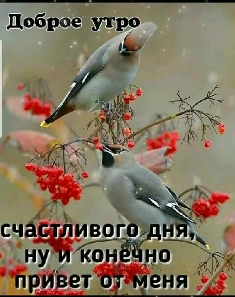 доброе утро ь чм ч г