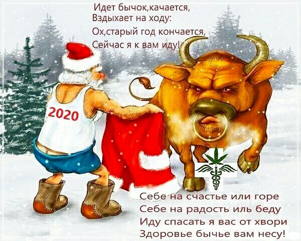 Идет бычоккачается Вздыхает на ходу Охстарый год кончается Себена счастье или горе Себе на радость иль беду Иду спасать я вас от хвори Здоровье бычье вам несу