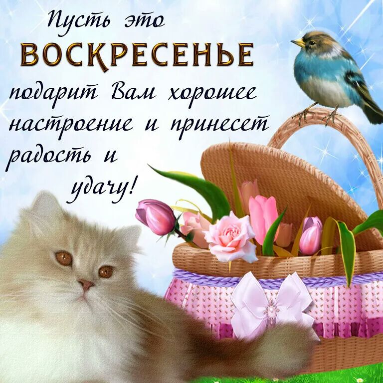уеИд Эйе ВОСКРЕСЕНЬЕ
