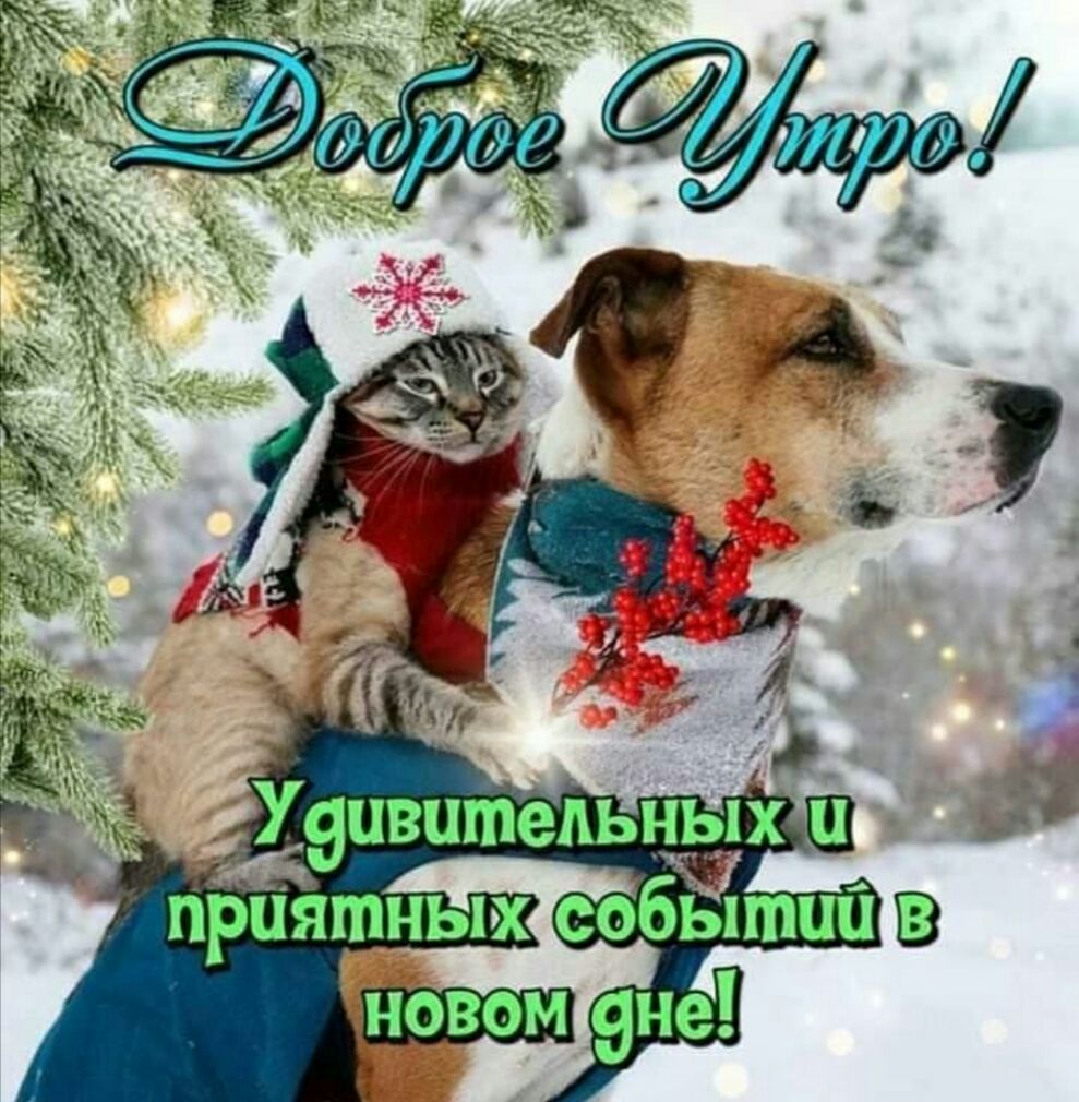 _ 37 ириятны