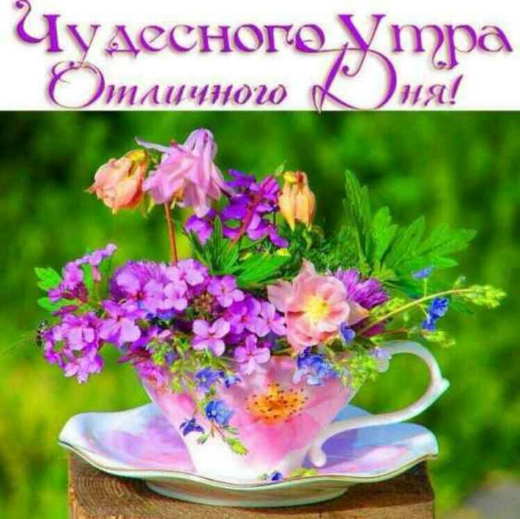 щесно Г А