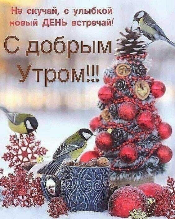 Не зщчай улыбкой тювый ДЕНЬ встречай С добёымд трбм