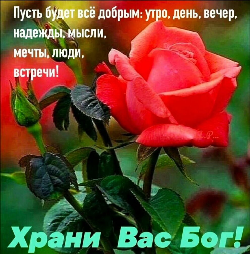 Пуст добрым о день вечер псли мечты люди _ те ёёЁ _ Х ёни рас