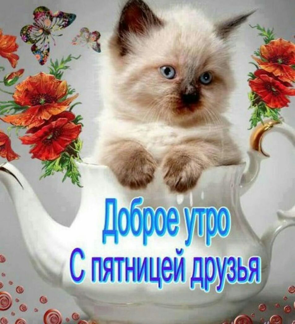 Доброе утро Спятни еи зья ё Ц