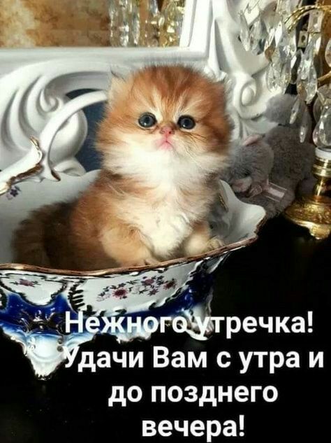 до позднего вечера