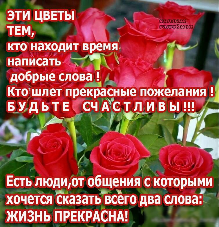 ЭТИ ЦВЕТЫ _ ТЕМ кто находит время у написать ___х добрые слова Кт0шлет прекрасные пожелания Б_УдЬТЕ СЧАСТЛЁ ивы на Есть пюдиот общения с йоторыми хочется сказать всего два слова жизнь ПРЕКЕАСНА