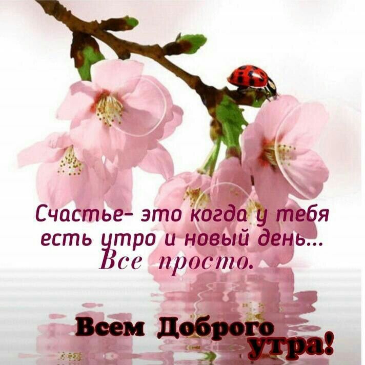 Счастье это Когда у тебя есть три и новый день СС ПРОГИ мда 3