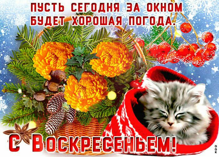 пнсть СЕГОДНЯ ЭА окнам ашдя погодАА