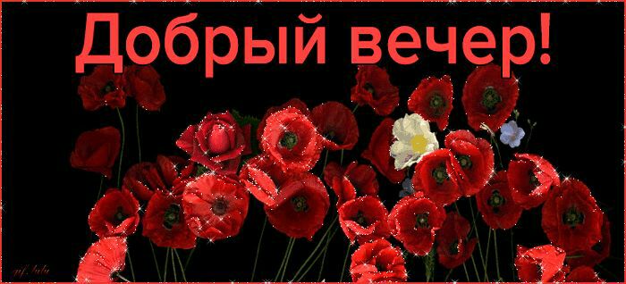 Добрый вечер