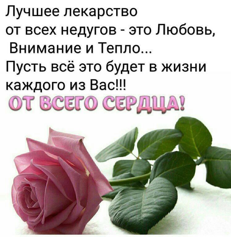 Лучшее лекарство от всех недугов это Любовь Внимание и Тепло Пусть всё это будет в жизни каждого из Вас СЖ ССЗЮ ССЩДМП