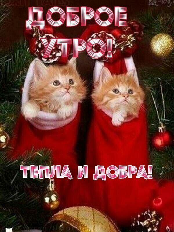 ДЁРЕ