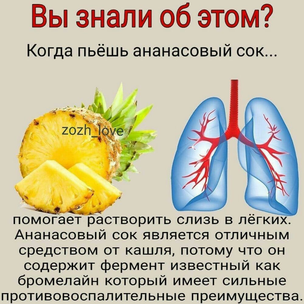 Вы знали об этом Когда пьёшь ананасовый сок _ помогает растворить слизь в лёгких Ананасовый сок является отличным средством от кашля потому что он содержит фермент известный как бромелайн который имеет сильные противовоспалительные преимущества