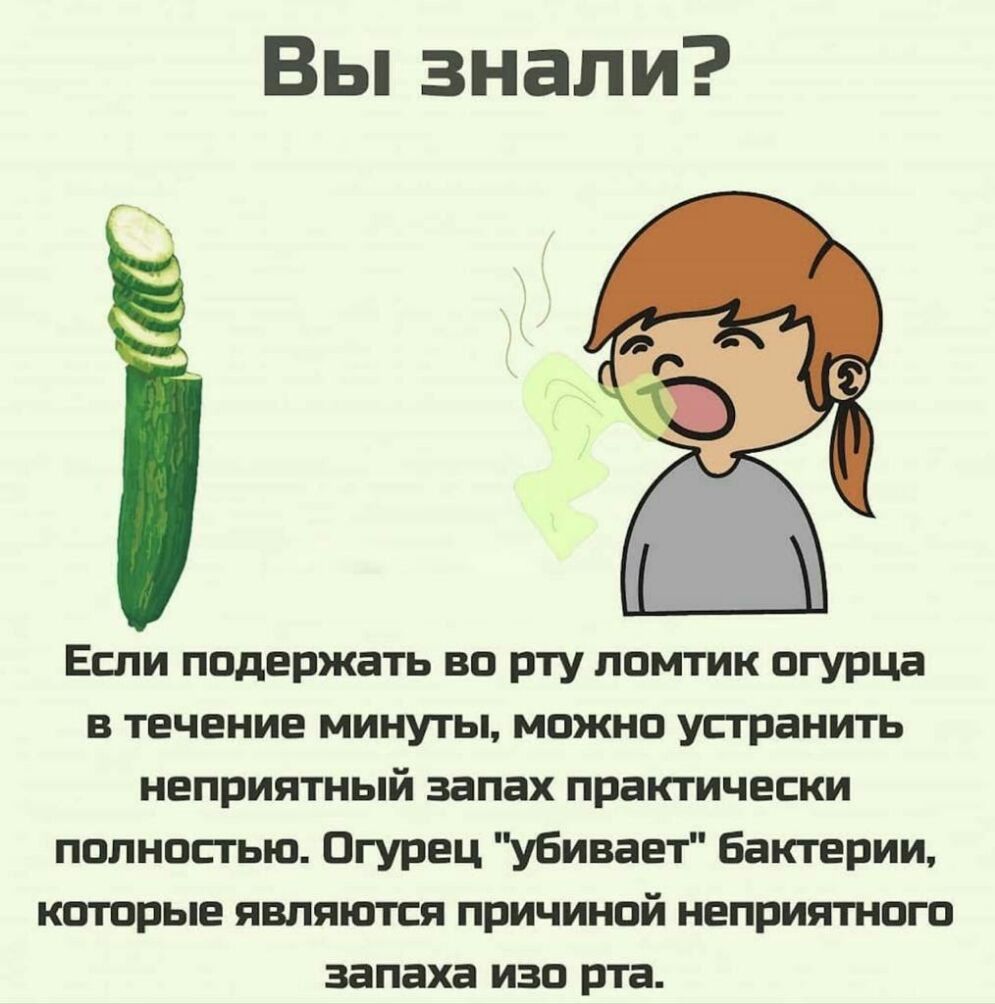Вьпзнали Если подержать во рту ломтик огурца в течение минуты можно устранить неприятный запах практически полностью Огурец убивает бактерии которые являются причиной неприятного запаха изо рта