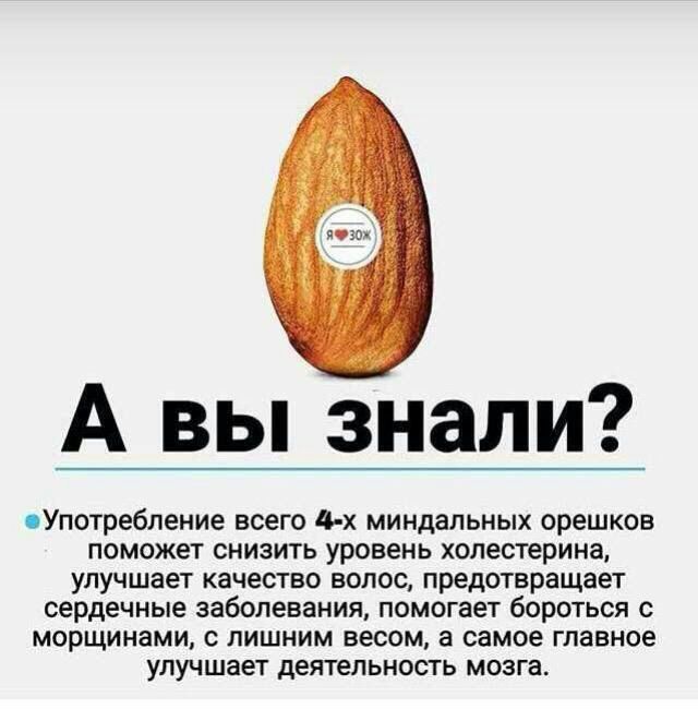 А вы знали сУпотребление всего 4 х миндальных орешков поможет снизить уровень холестерина улучшает качество волос предотвращает сердечные заболевания помогает бороться с морщинами с лишним весом а самое главное улучшает деятельность мозга