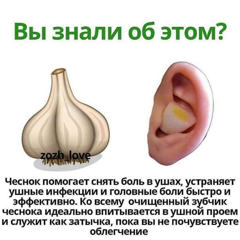Вы знали об этом Чеснок помогает снять боль в ушах устраняет ушные инфекции и головные боли быстро и эффективно Ко всему очищенный зубчик чеснока идеально впитывается в ушнои проем и служит как затычка пока вы не почувствуете облегчение
