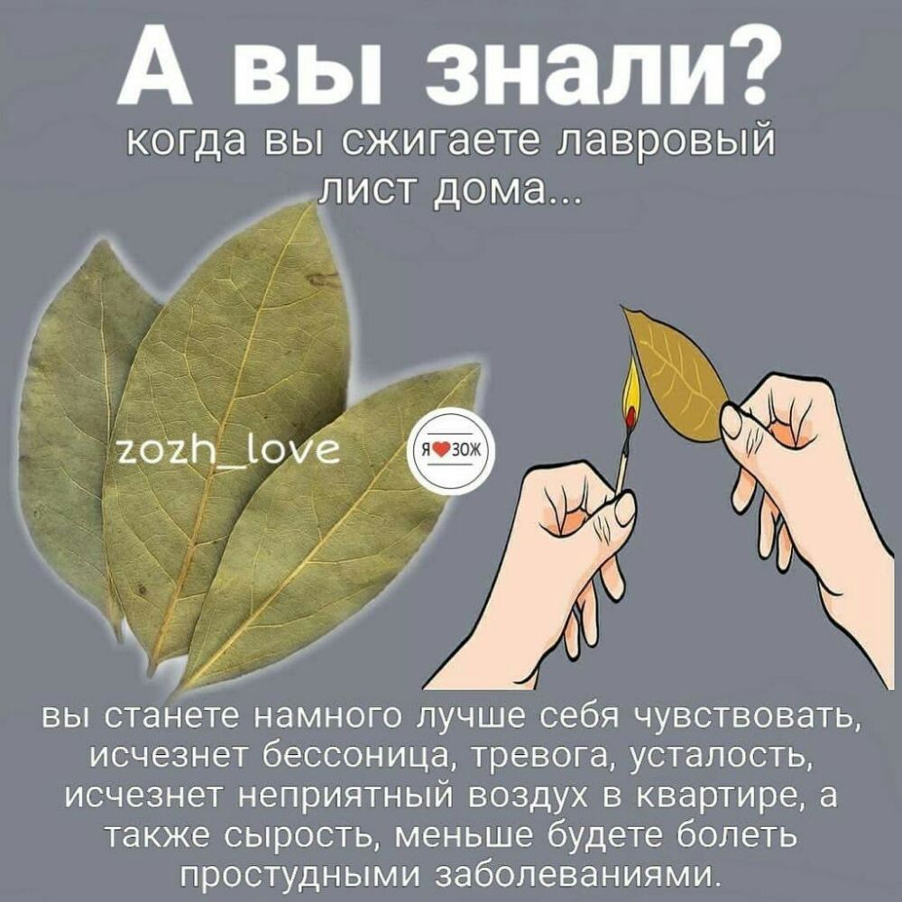 А вы знали КОГДЭ ВЫ сжигаете ЛЭВРОВЫЙ ЛИСТ ДОМЭ Ё Г __ Ъ ВЫ станете НЭМНОГО ЛУЧШЕ себя ЧУВСТВОВЭТЬ ИСЧЭЗНЕТ бЕССОНИЦЭ ТРЭВОГЭ УСТЭПОСТЬ ИСЧЗЗНЭТ неприятный ВОЗДУХ В квартире 3 также СЫРОСТЬ меньше будете бОЛЕТЬ простудными ЗЭбОПЭВЭНИЯМИ