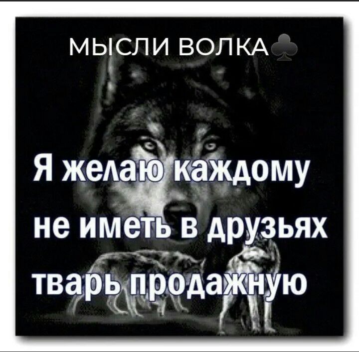 МЬЕСЛИ ВОЛКА Я жеАаЪЁюёЁкдо му не ИМЭТЬ В друзьях тварЁаЯЁую ПЕ