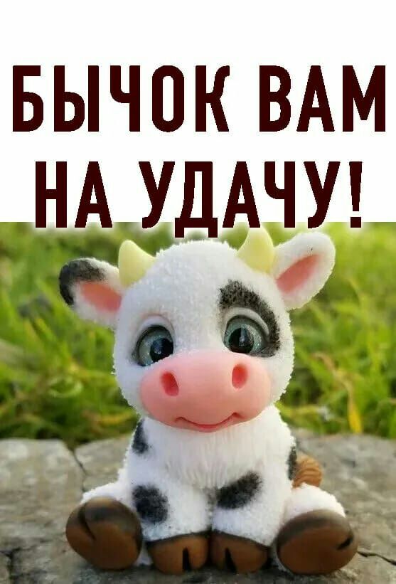 БЫЧОК ВАМ __ НА УДАЧУ