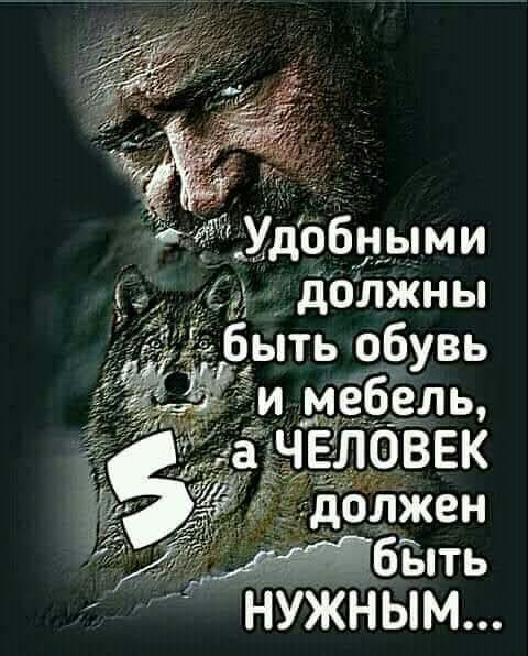 Смешные цитаты про мебель