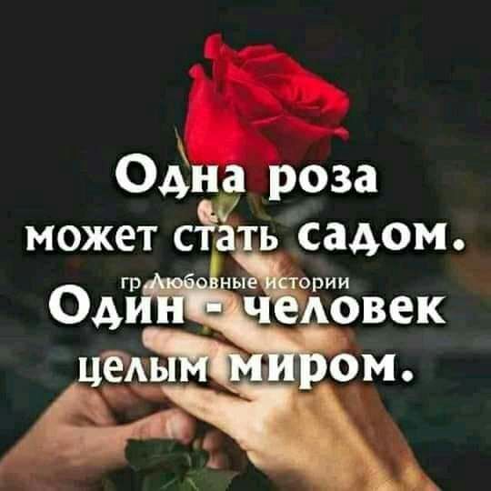 Одна роза может сЁЁсадом