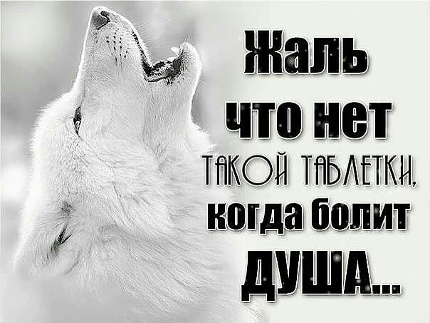 чз ны ТЁКОП ТПЬАЕТКН ниша шыш