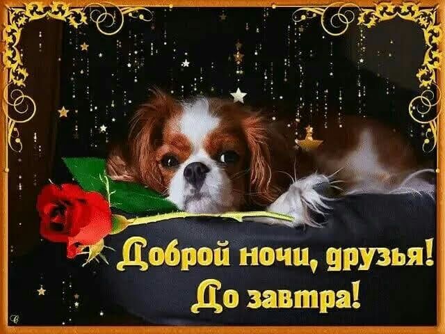 дебатами друзья 7 7 До завтра